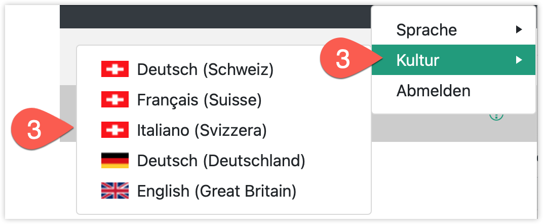Startbildschirm_Kultur_Details_mit_Pfeilen.png